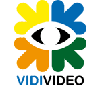           Vidi-Video (Interactive semantic video search with a large thesaurus of machine learned audio-visual concepts)