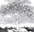 Thumbnail for version as of 20:05, 26 April 2007