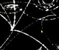Thumbnail for version as of 10:52, 23 September 2016